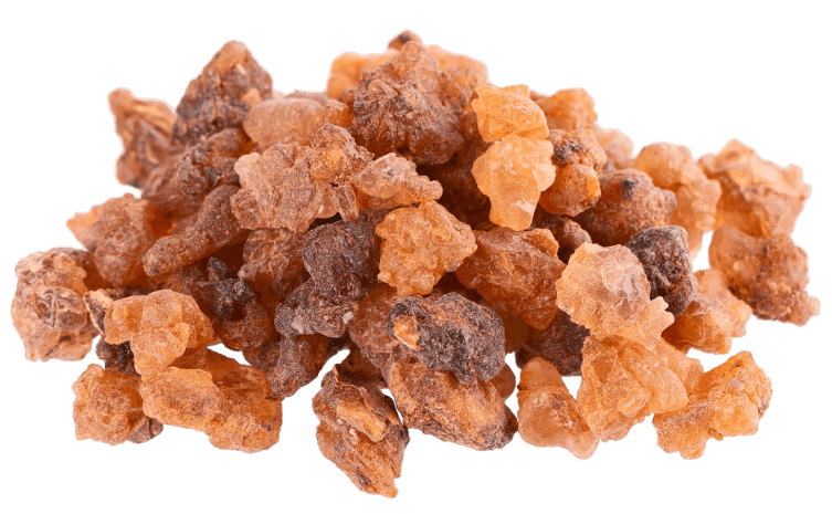 Gold Align  Ingredient3