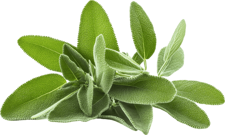 Gold Align  Ingredient3